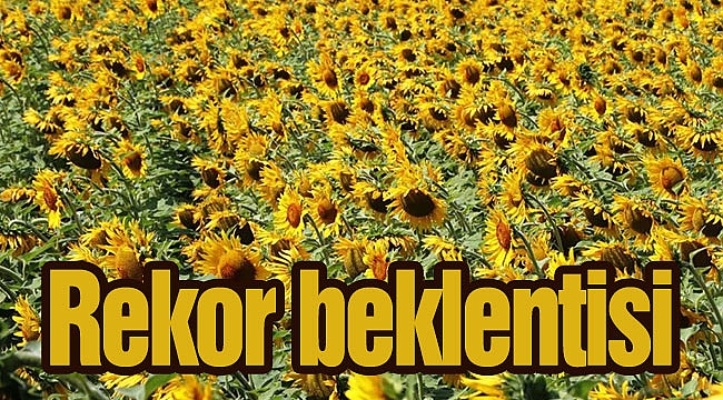 Rekor beklentisi