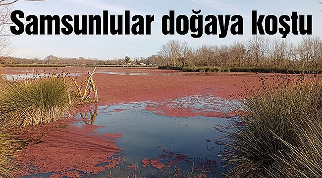 Samsunlular doğaya koştu