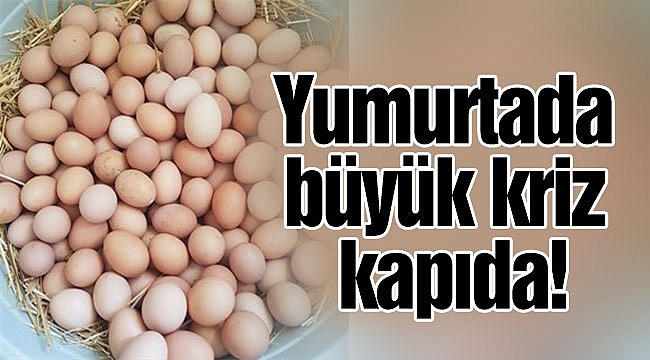 Yumurtada büyük kriz kapıda!
