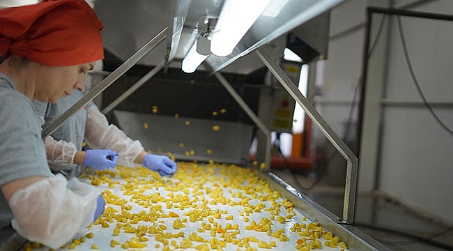 Bereketli topraklardan dünya sofralarına