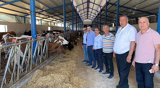 Besicilerin yem isyanı