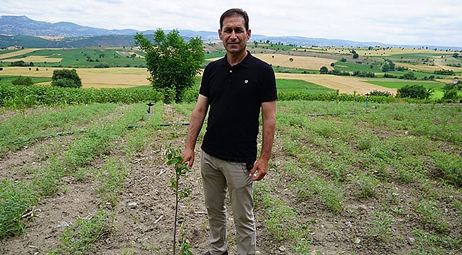 Cennet meyvesi için fidan desteği