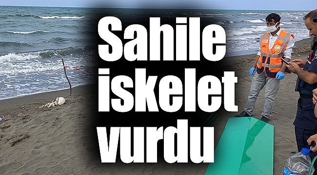 Sahile iskelet vurdu