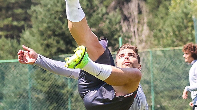 ‘Tomane’yle devam etmek istiyoruz’