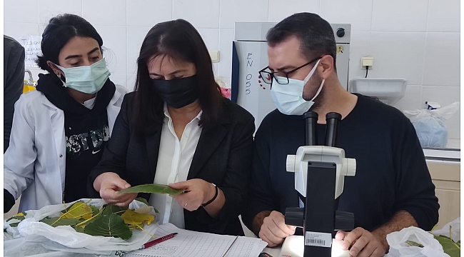 131 projeden  ilk 10’a girdi