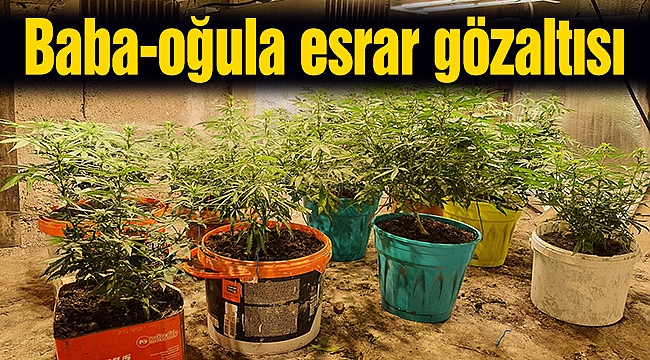 Baba-oğula esrar gözaltısı