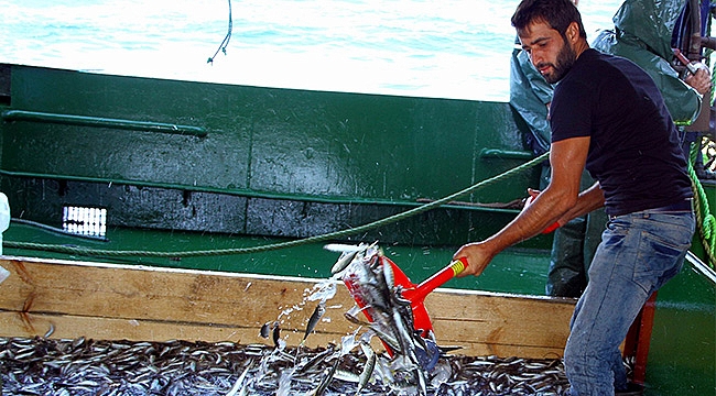 Balıkçılar dertli