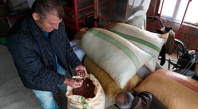 FINDIK DOLANDIRICILARI!