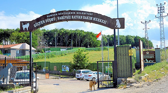 Hayvan bakımevi ziyarete açılıyor