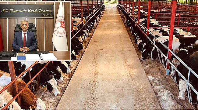 Hayvancılıkta sözleşmeli besicilik dönemi