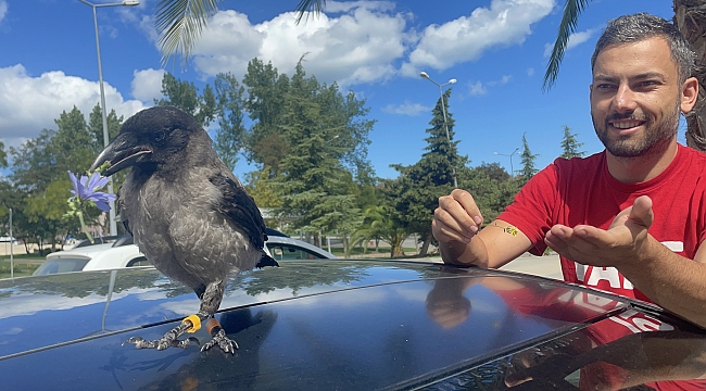 ‘Kırık Kanat’ gitmiyor!