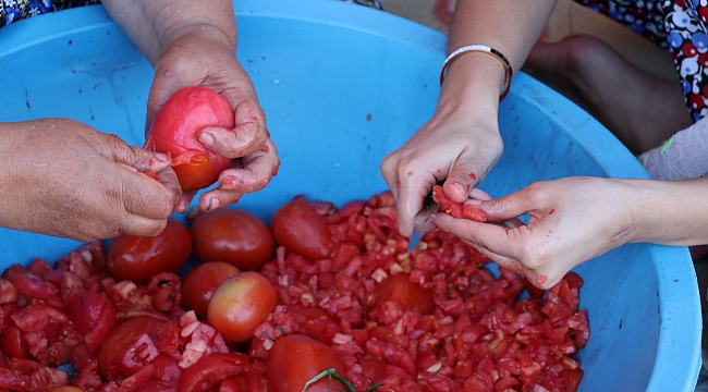 Kış için salça ve  konserve mesaisi