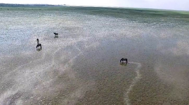 Kuş Cenneti’nin güzelliğine havadan bakış