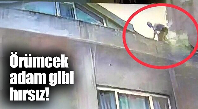 Örümcek adam gibi hırsız!