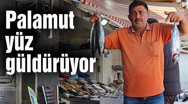 Palamut yüz güldürüyor