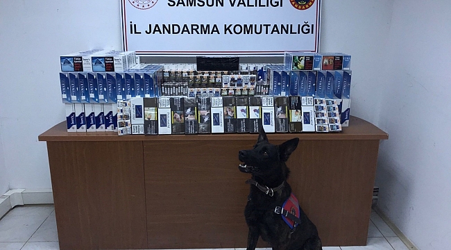 18 günde 65 gözaltı