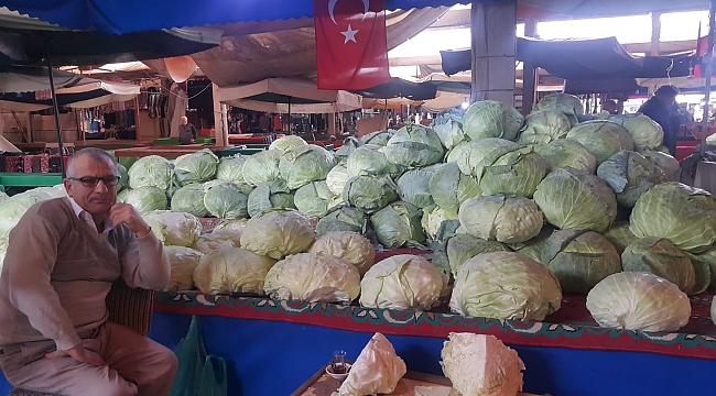 Bafra'da kışlık sebzede ilk ürünler alındı
