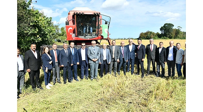 Bafra Ovası'nda hasat şenliği