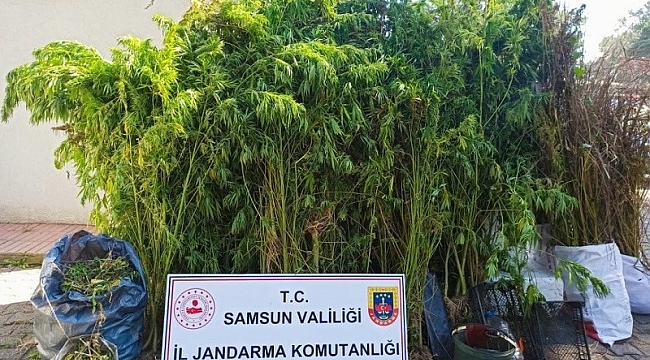 Jandarmadan suçlulara geçit yok