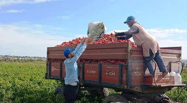 Kapya sezonu kapatıyor!