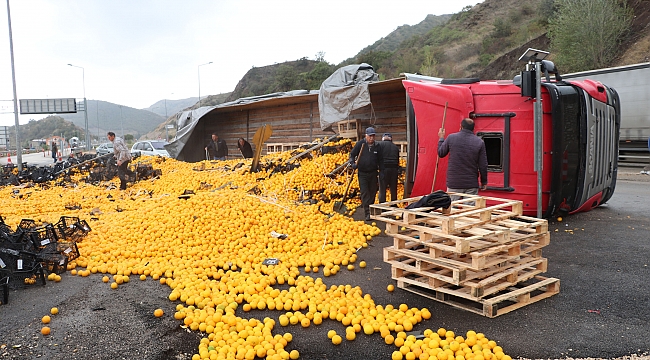 Narenciye yüklü tır devrildi