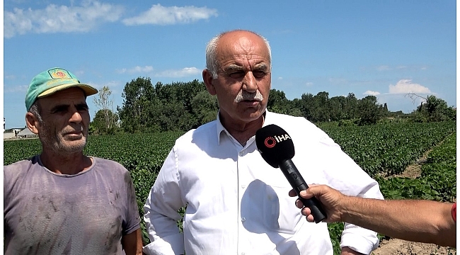 Üretici memnun tüketici üzülecek