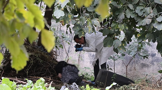 Yaşlı kadın incir ağacına asılı halde bulundu