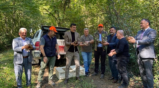 800 sülün doğaya salındı