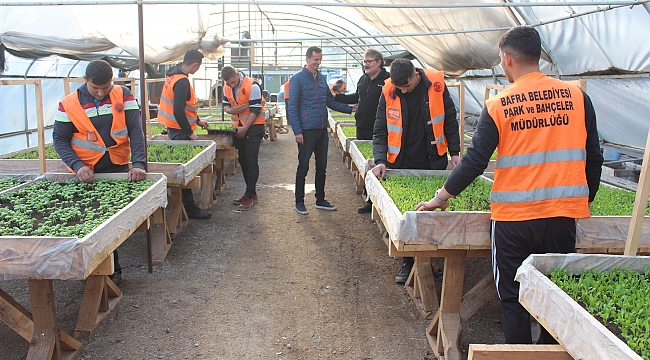 Bafra’yı güzelleştiren öğrenciler