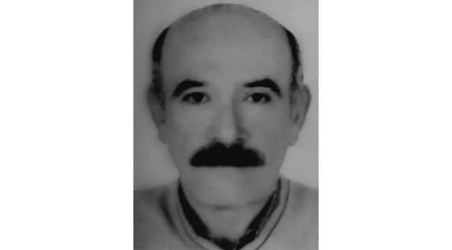 Ceviz ağacı sonu oldu