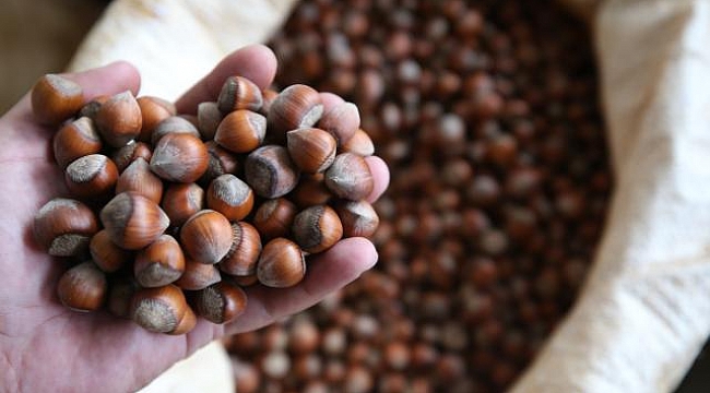 Ferrero’ya ‘Rekabet’ soruşturması