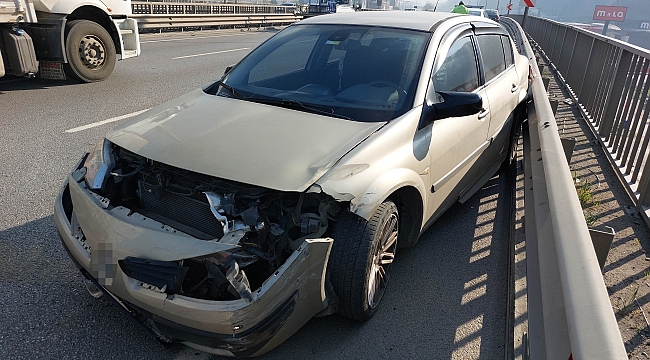 Viyadük korkuluklarına çarptı