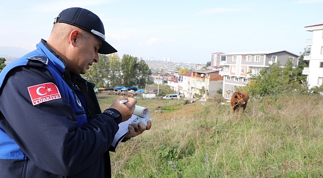 ‘Yıkıma varan yaptırımlar yapacağız’