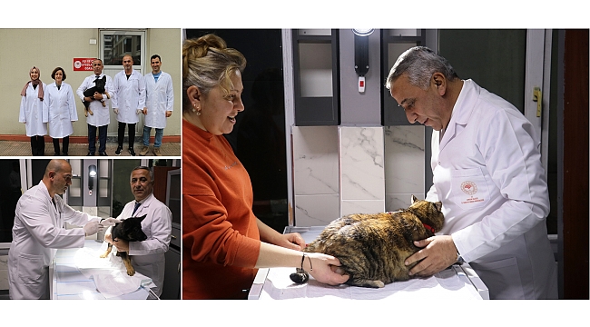 31 Aralık’ta bitiyor