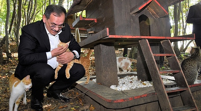 600 hayvana sıcak yuva