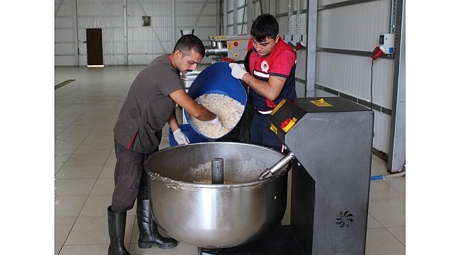 Artan yemekler 'mama' oluyor