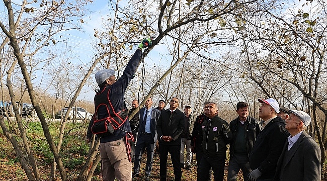 Bu yıl 112 bin 301 ton fındık üretildi