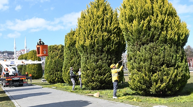 Daha yeşil bir Samsun için