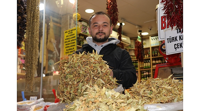 Ihlamurun kilosu 400 TL