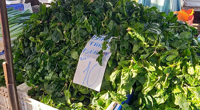 Pazar arabası 500 liraya dolmuyor