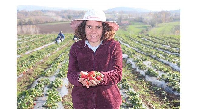 Şehirden köye göç!