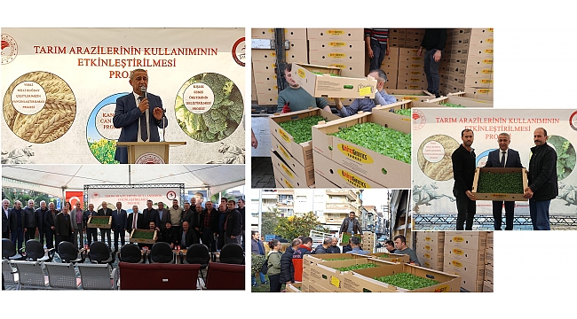 Üreticilere marul fidesi desteği