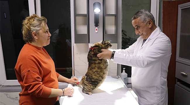 29 bin 891 evcil hayvan kayıt altında