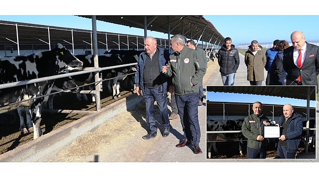 Ari işletme sayısı artıyor