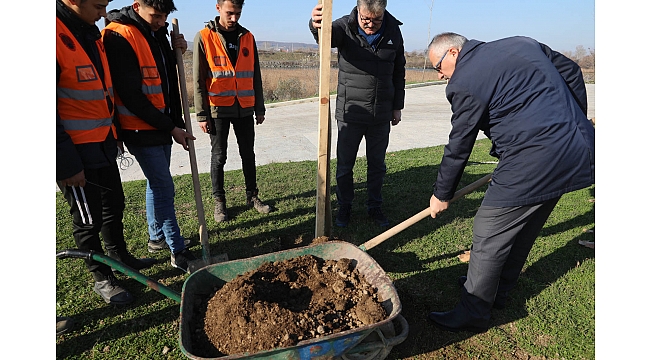 Bafra'da kökler toprakla buluşuyor