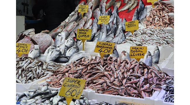 Balık tezgahlarının gözdesi mezgit, somon ve hamsi