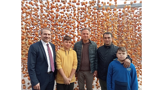 Cennet hurmasını  kurutup satıyor