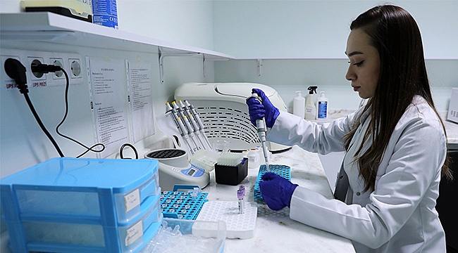 Genetik analizler en iyi rehber