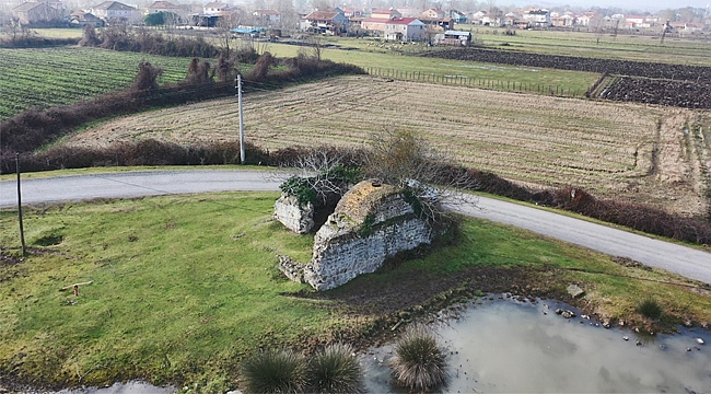 Ocağına incir ağacı dikilmiş!