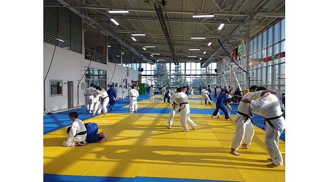 Tatamide ortak çalışma